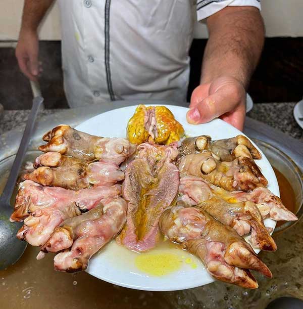 طباخی بلوار تهران
